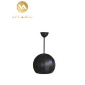 Loa thả trần màu đen ITC T-200D