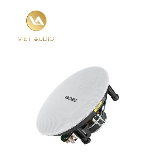 vietaudio_loa-am-tran-60w-takstar-EBS-653