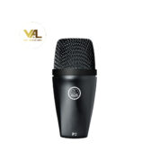 Micro có dây AKG P2
