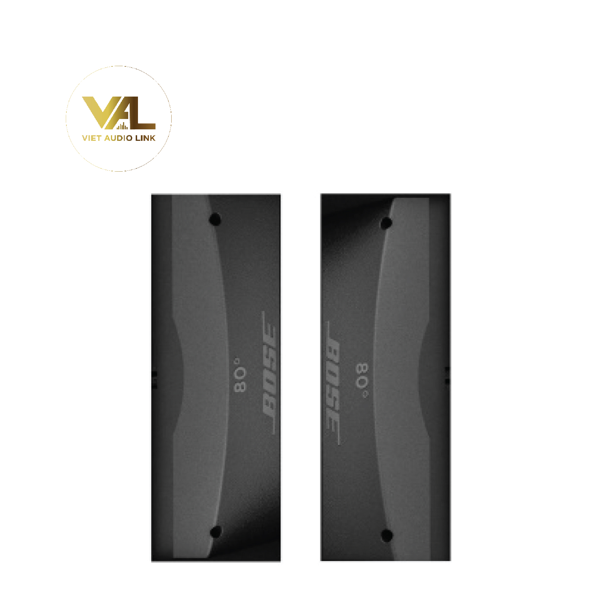 vietaudio_phu-kien-bose-arenamatch-amwg2010-am20-waveguide-100