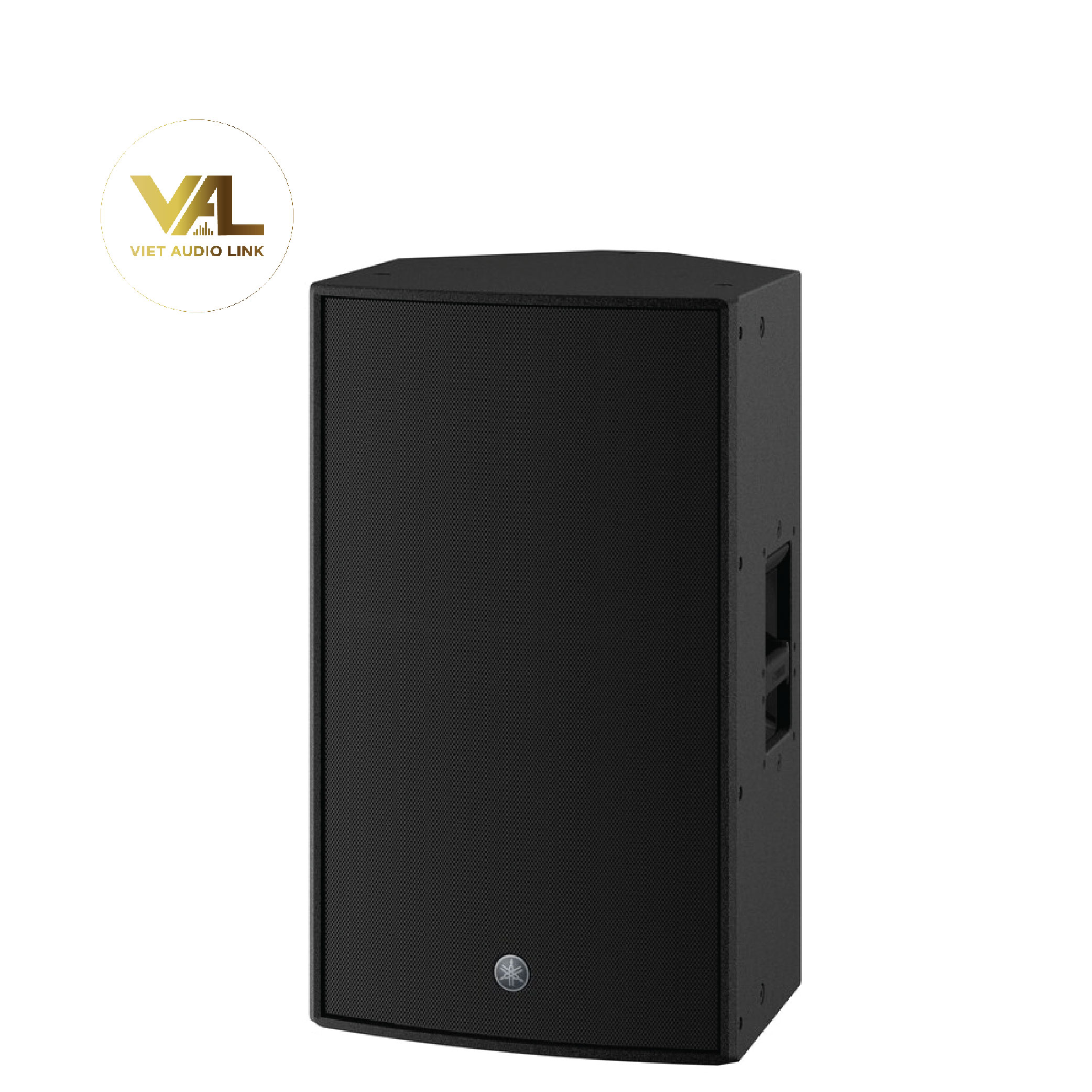 vietaudio_loa-yamaha-czr10w