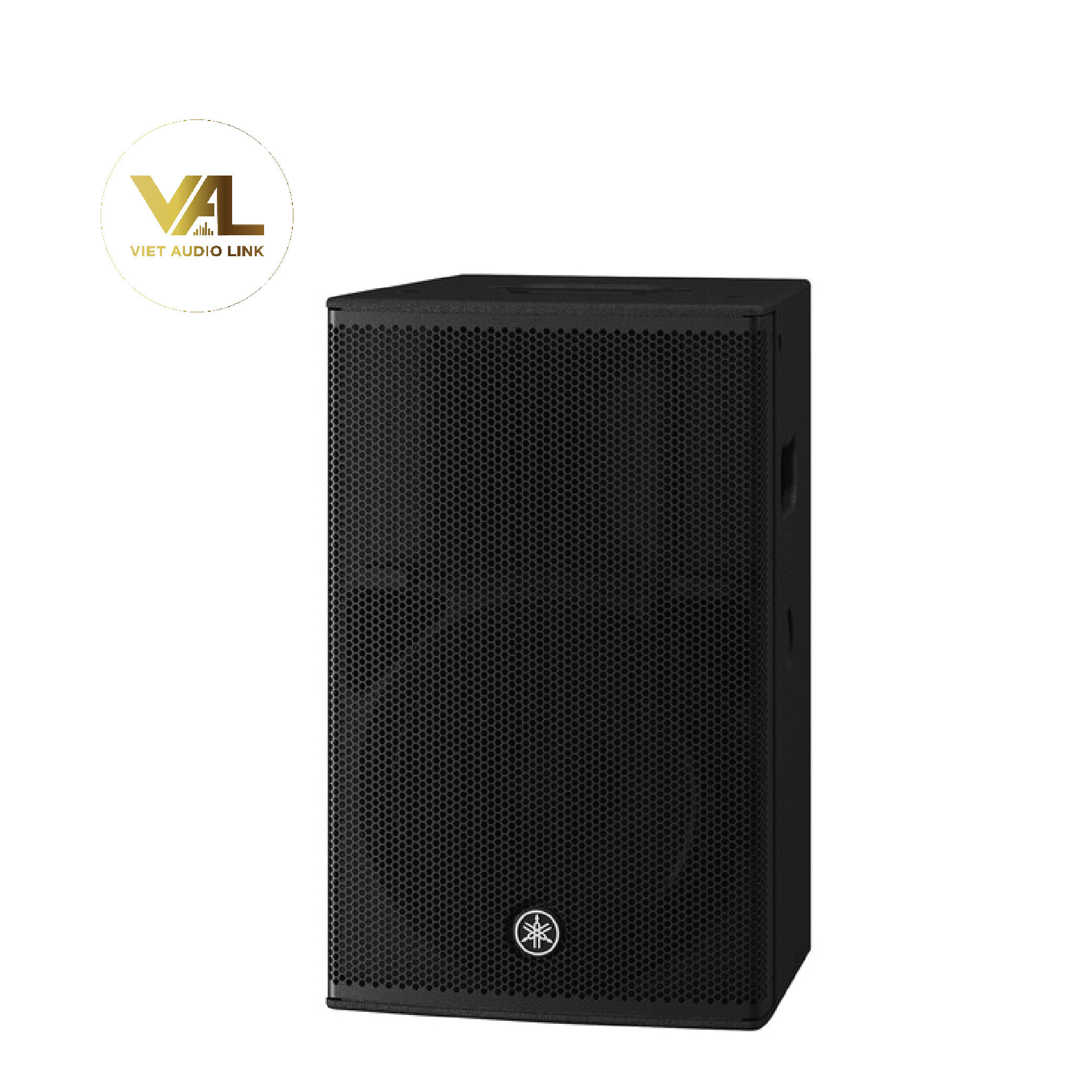 vietaudio_loa-yamaha-dhr12