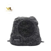 Loa giả đá sân vườn 5 inch DSPPA DSP647