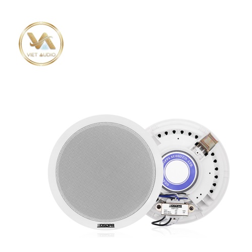 vietaudio_loa-am-tran-cong-suat-6W-DSPPA-DSP124