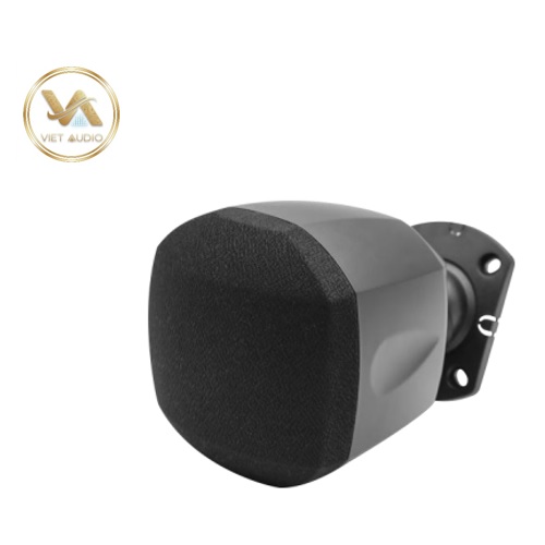 vietaudio_loa-ve-tinh-treo-tuong-10W-DSPPA-DSP119